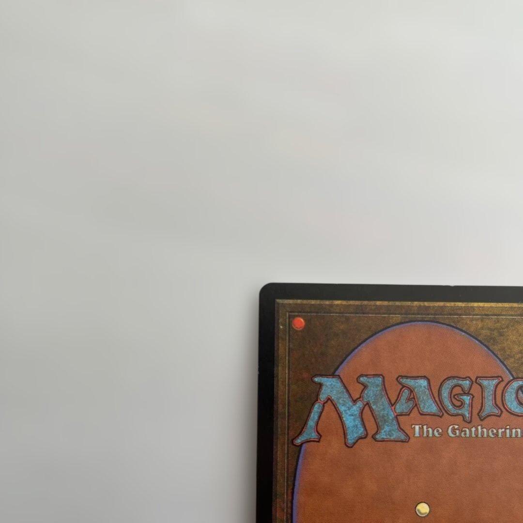 カリスマ　FOIL 日本語　マジックザギャザリング　MTG