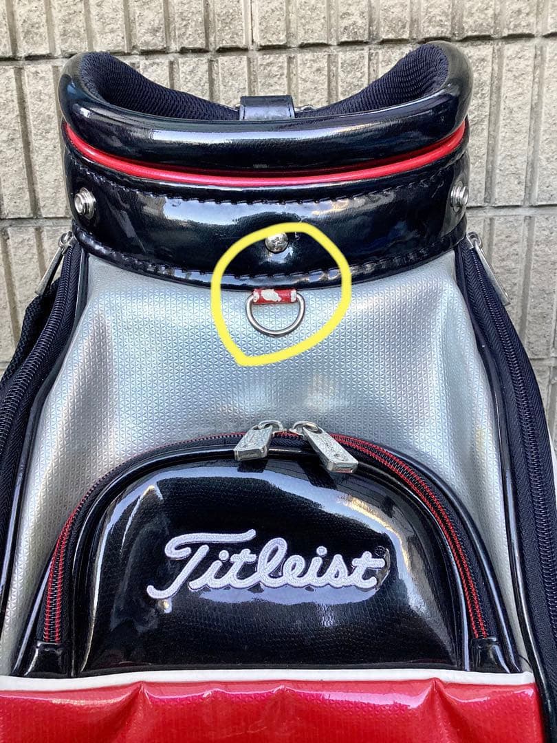 た*ん様 Titleist PRO V1X タイトリストキャディバッグ
