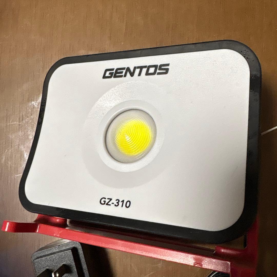 GEBTOS ライト GZ-310