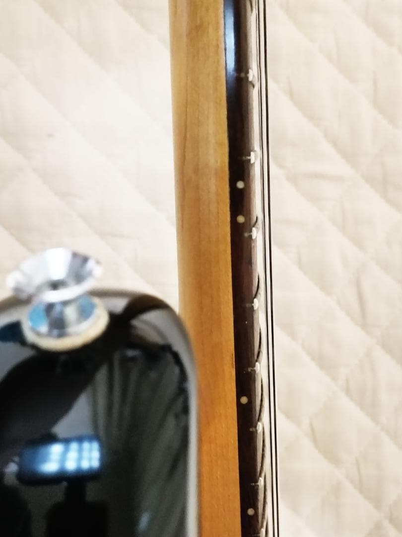【送込】【稀少】Aria Pro Ⅱ The Cat