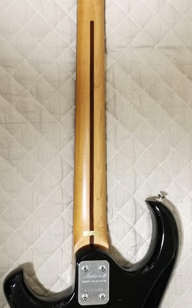 【送込】【稀少】Aria Pro Ⅱ The Cat