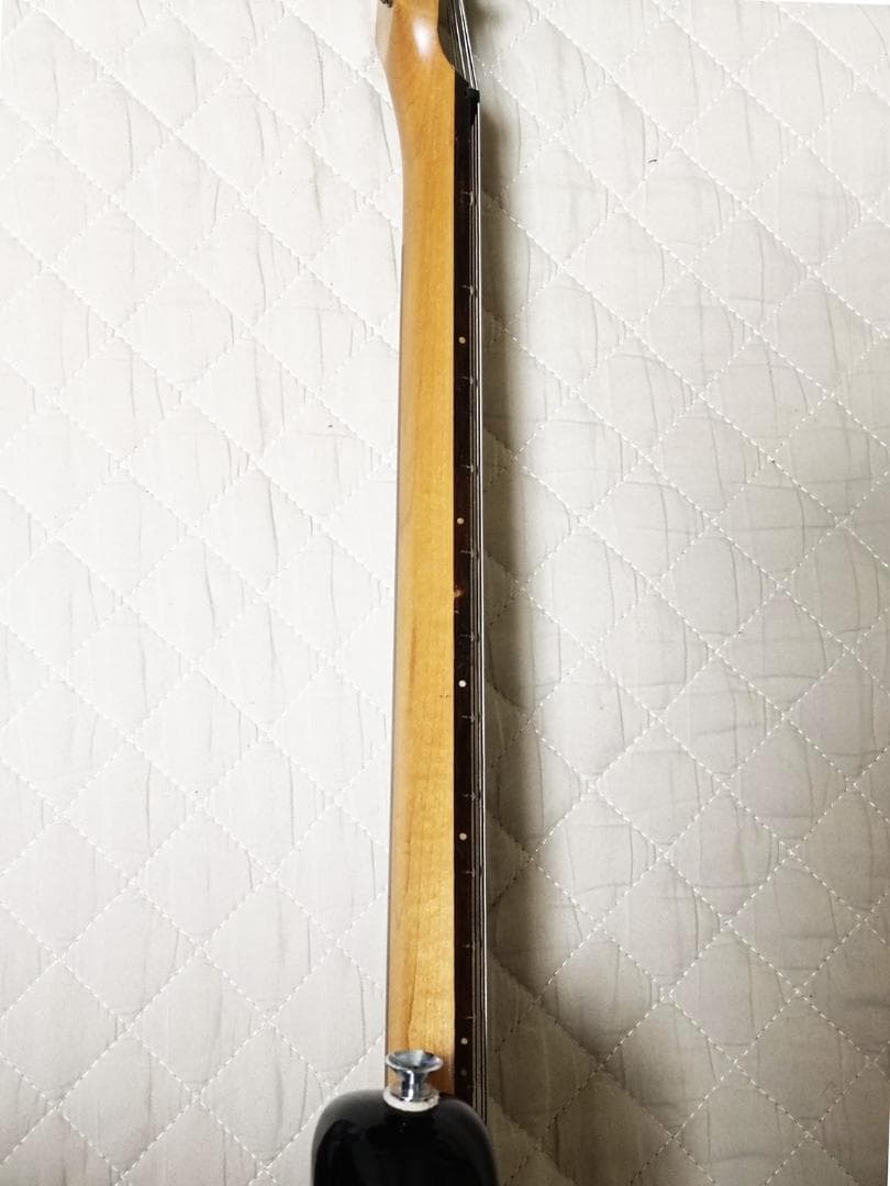 【送込】【稀少】Aria Pro Ⅱ The Cat