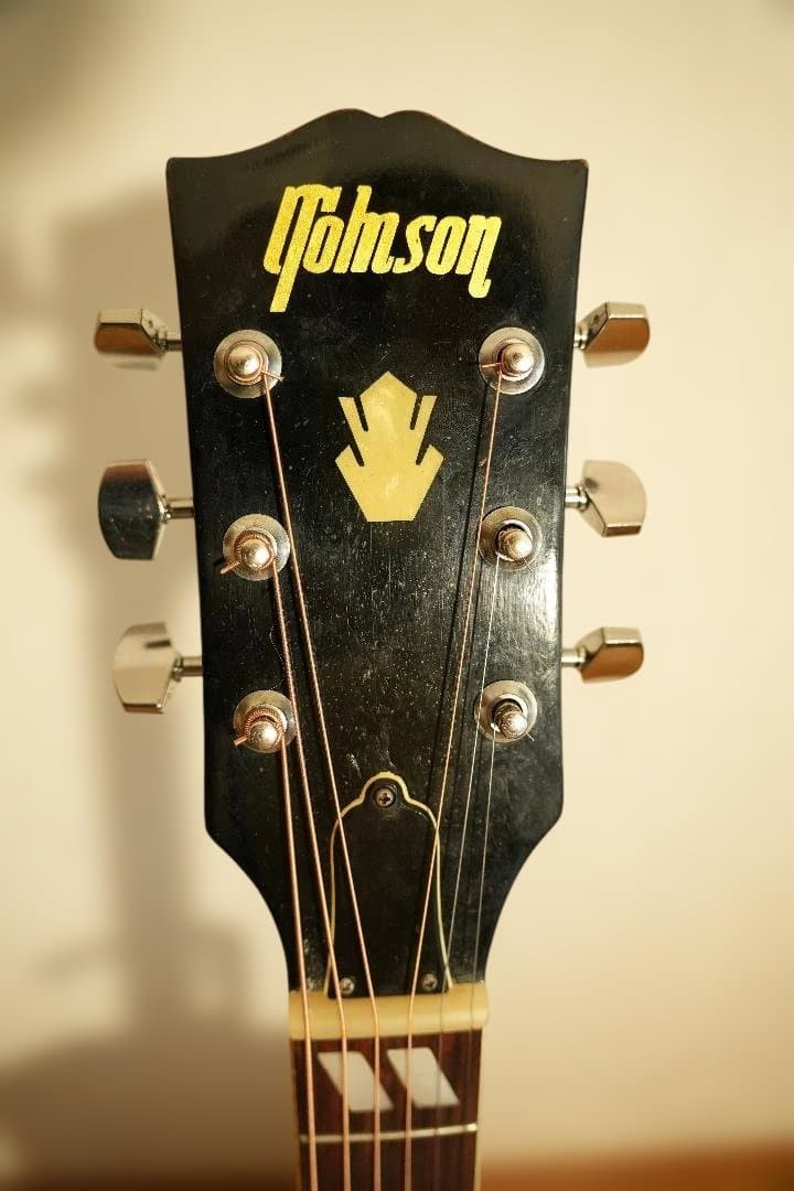 木曽鈴木バイオリン TOMSON DW-40