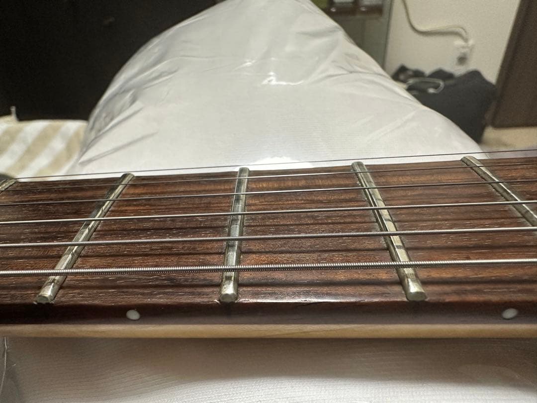 Edwards/Horizon Custom Classic Mod(日本製)