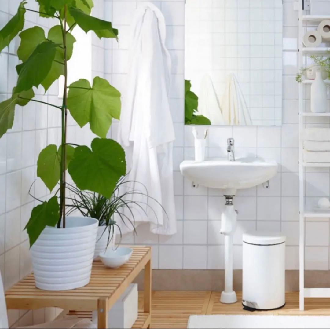 【新品未開封】　IKEA スツール MOLGER-モルゲル- ベンチ バーチ