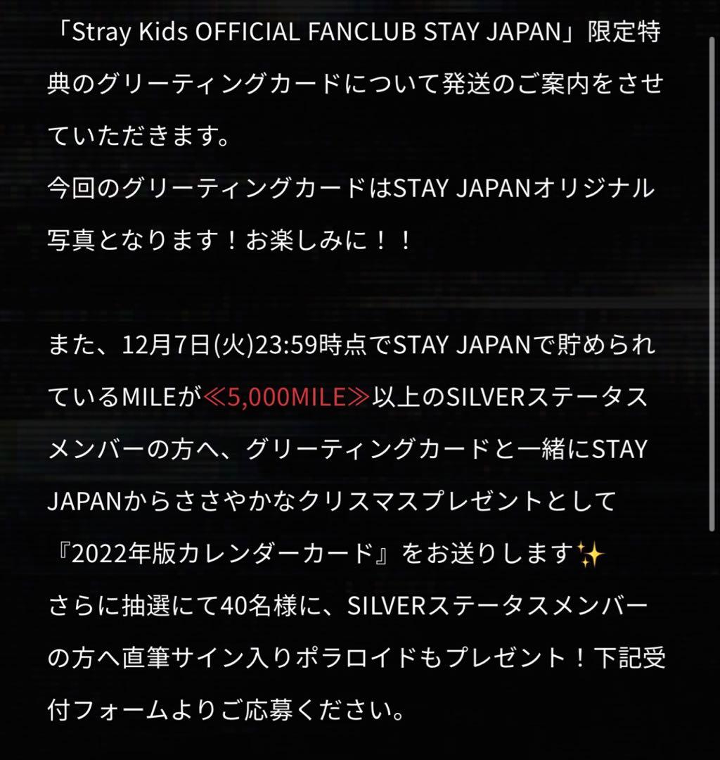お値下げ可能 チャンビン 直筆サイン チェキ straykids スキズ