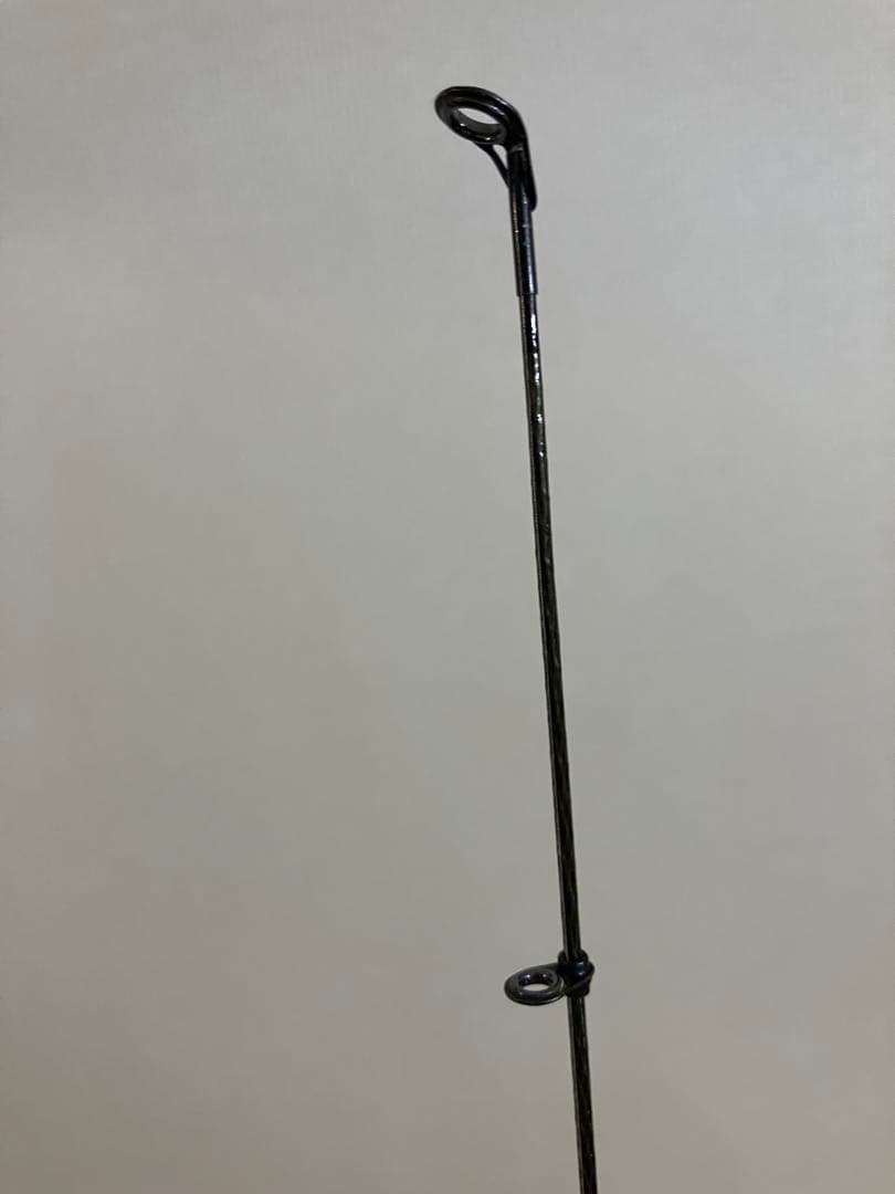 ダイワ　トーナメント磯　アモルファスウィスカー　2号53