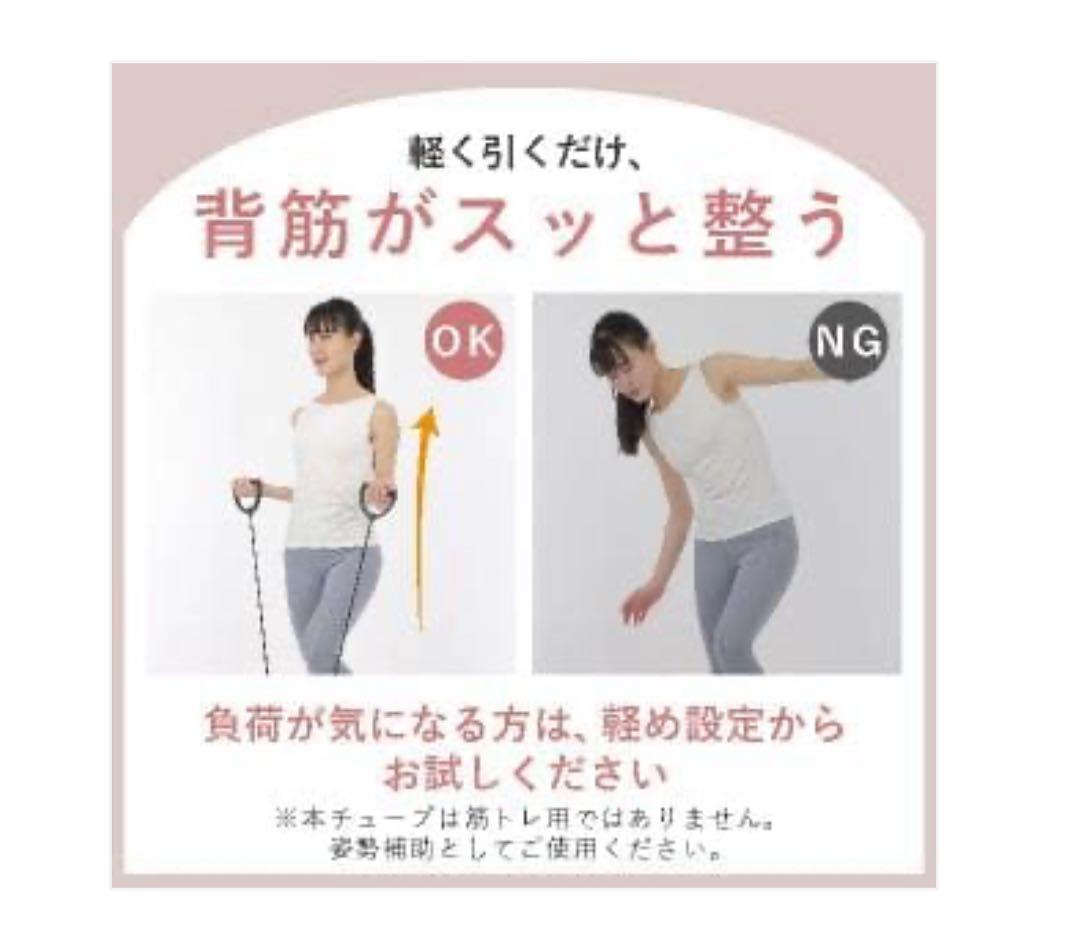 #2909　ステップマシンピンク ピンク .グレーブルー.ブラックステッパー