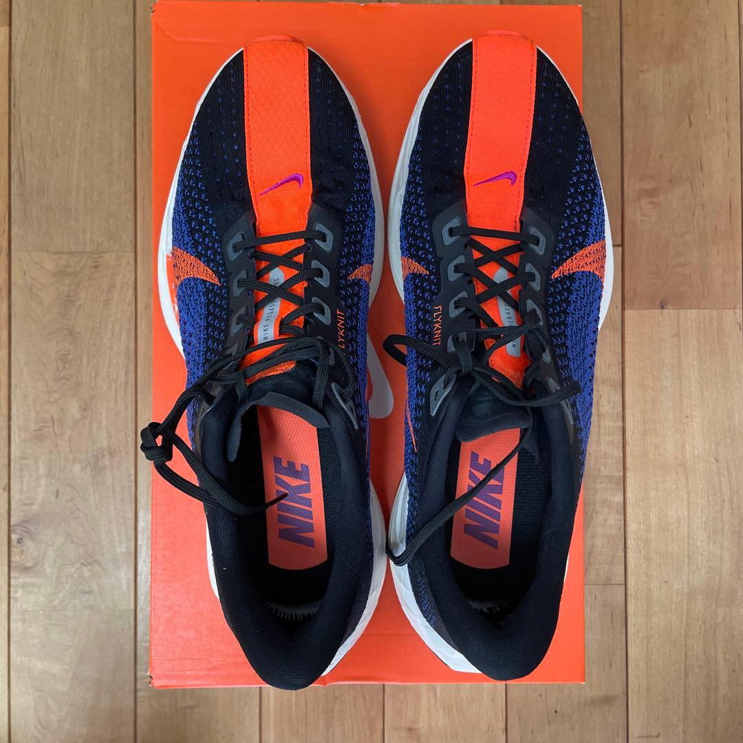 Nike ペガサスプラス メンズ 29.5cm