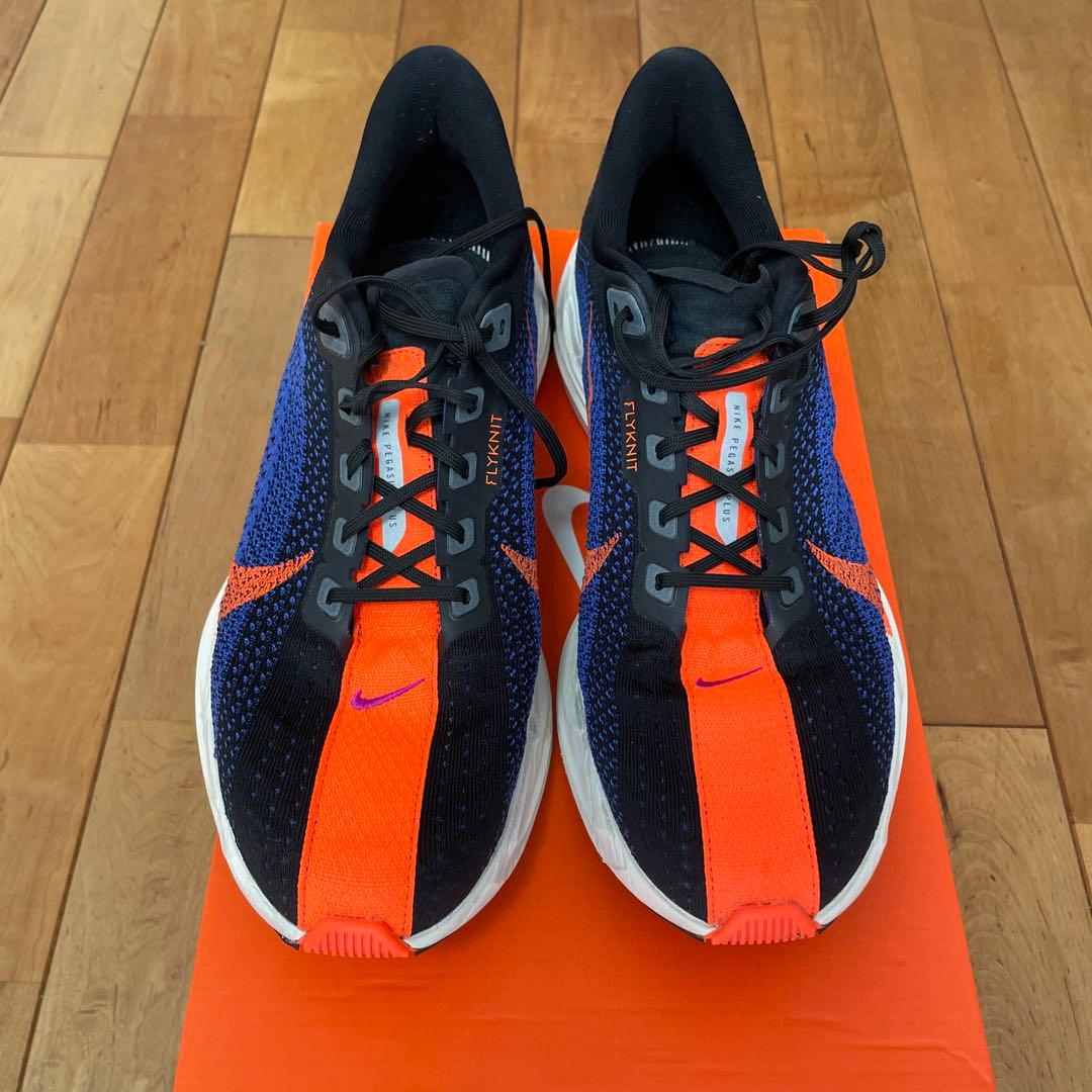 Nike ペガサスプラス メンズ 29.5cm