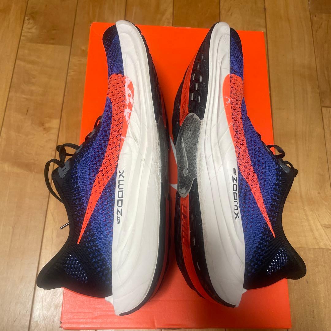 Nike ペガサスプラス メンズ 29.5cm