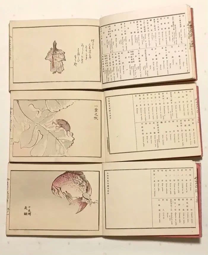 色摺木版画本やまとにしき（大和錦)全5冊揃い鈴木萬年画明治21年～明治24年出版