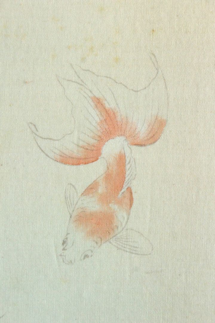 No4943 額装　山本龍洞　遊金魚図　絹本着色　真作　日本画　古美術　送料無料