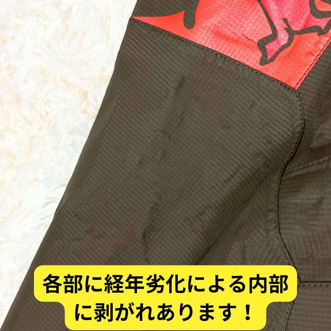 ⭐超激レア　限定500着　ノースフェイス　MIMBRE JACKET　スキー
