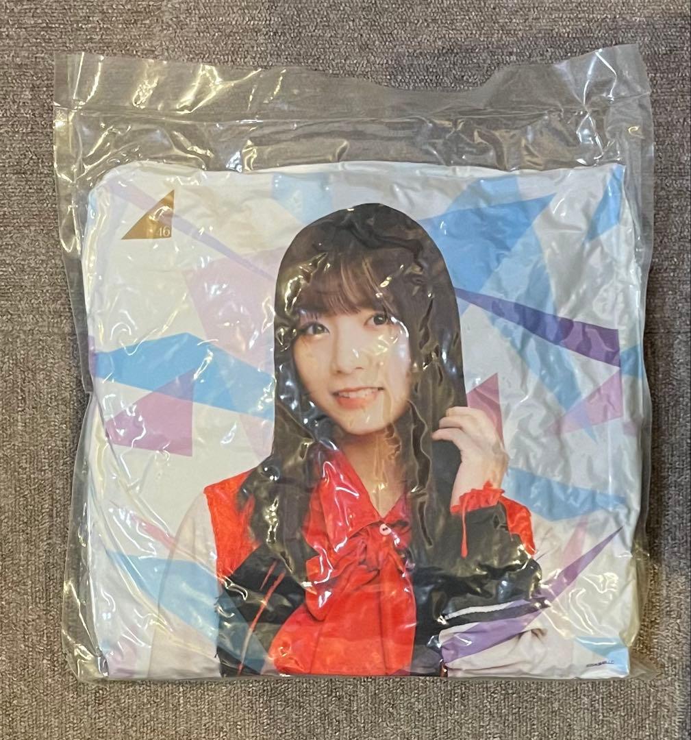 乃木坂46 北野日奈子　グッズ　10点セット　まとめ売り