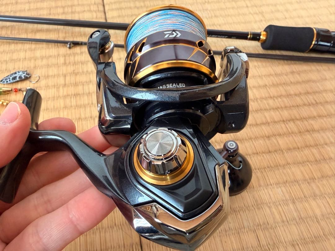(タックルセット)ダイワ　バス釣り、ライトソルトゲーム
