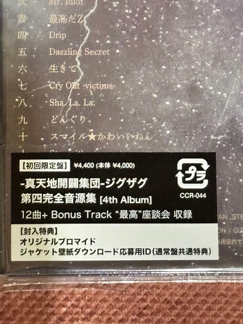 真天地開闢ジグザグ-最高-3点セット DVD CD ツアーパンフレット