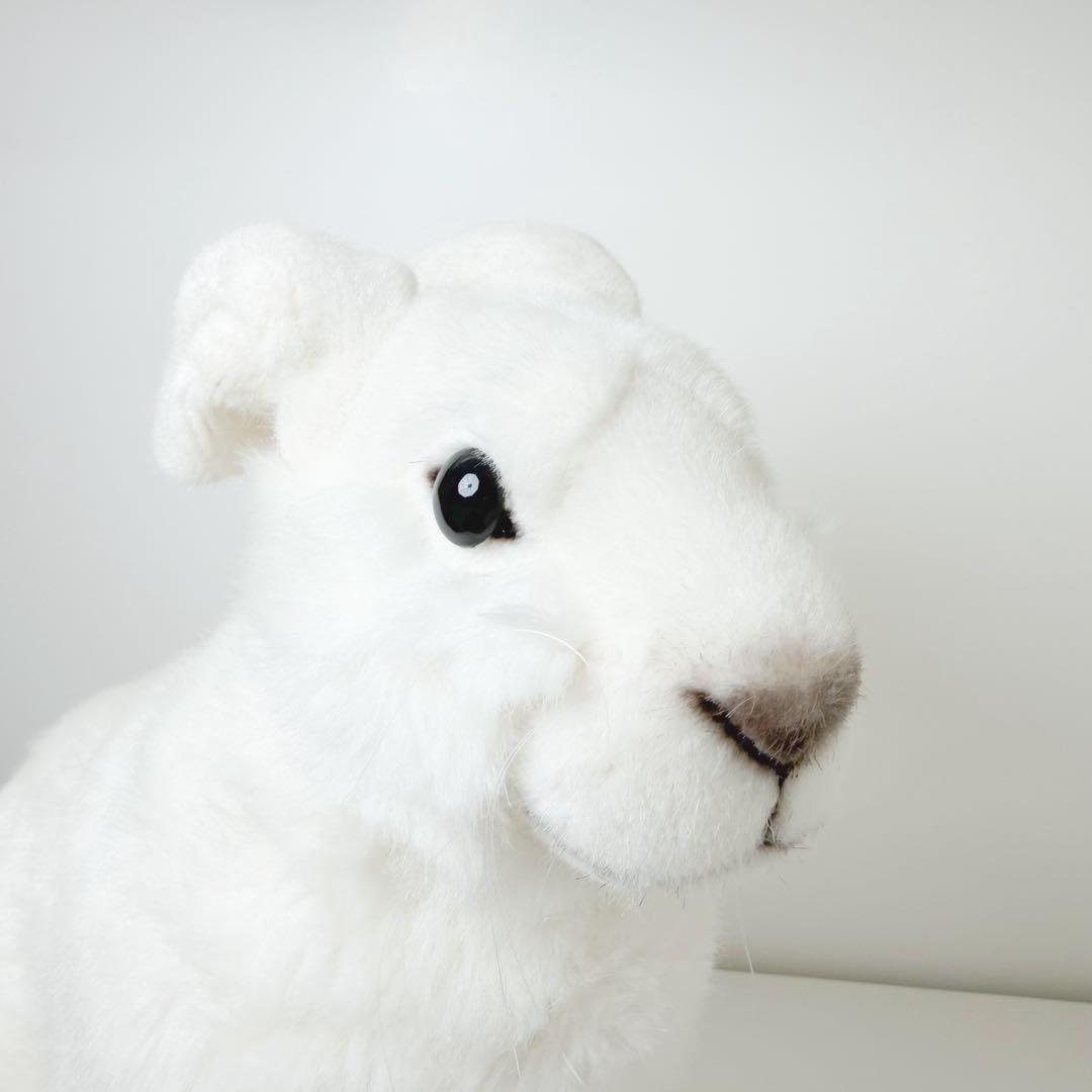 KÖSEN ケーセン社 うさぎ 大きめ ぬいぐるみ KOSEN