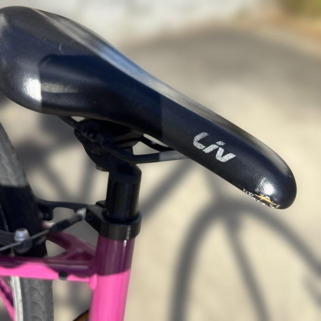 giant Liv Alight 子供用自転車 クロスバイク　ジャイアント
