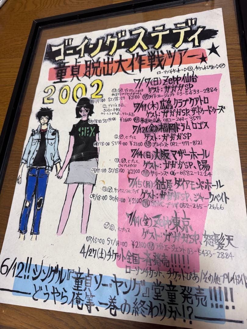 GOING STEADY ポスター5枚セット　銀杏BOYZ ゴイステ