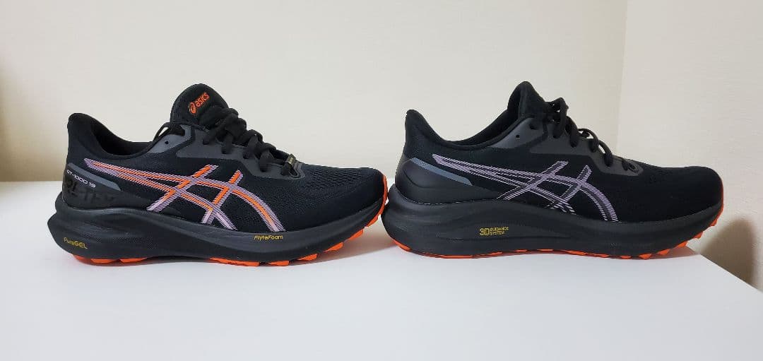 asics GT-1000 13 GTX / 25.5cm / レディース