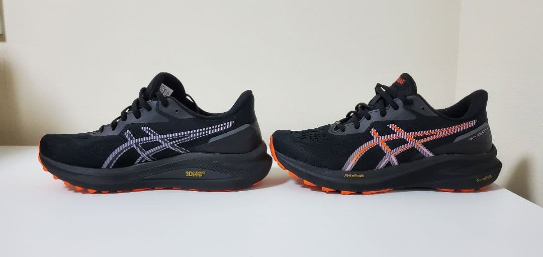 asics GT-1000 13 GTX / 25.5cm / レディース