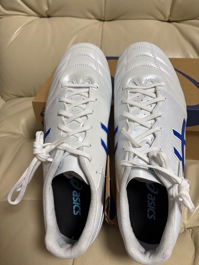 新品タグ付 asics DS LIGHT ADVANCE 27.5