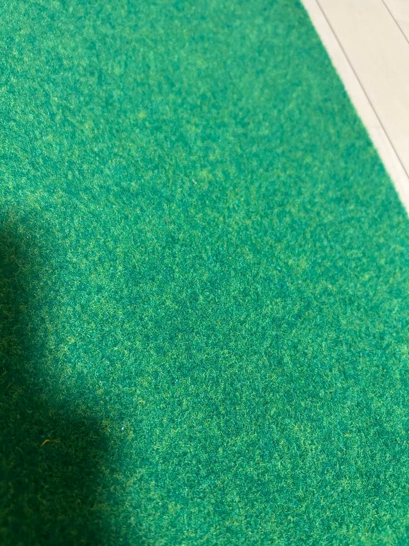 【入手困難品】5m パターマットDanact