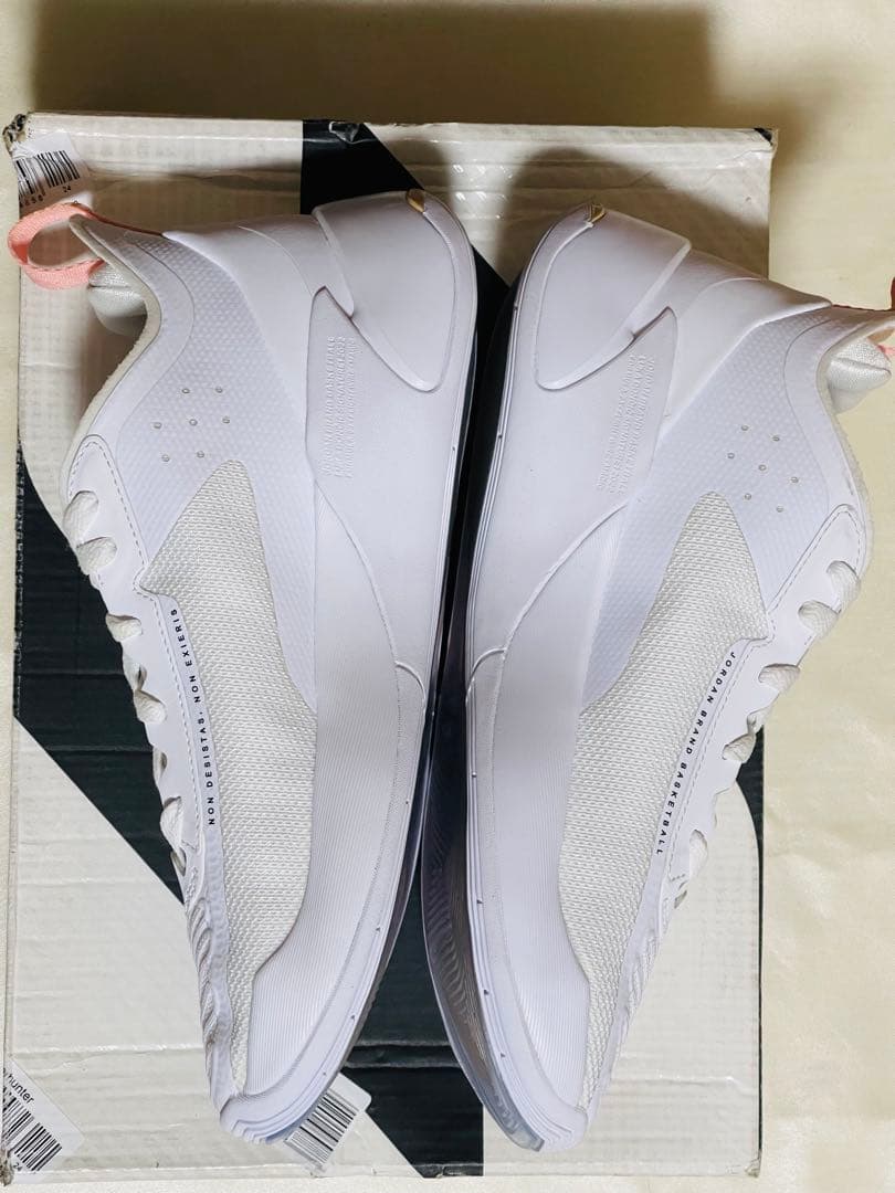 「新品未使用」Jordan LUKA 1 PF ルカ 25CM