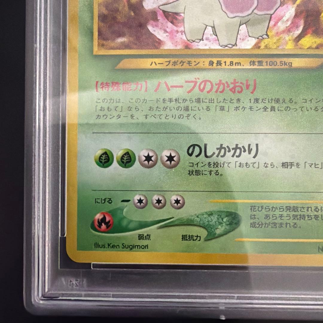 ポケモンカード 旧裏 メガニウム PSA10 ポケカ MEGANIUM