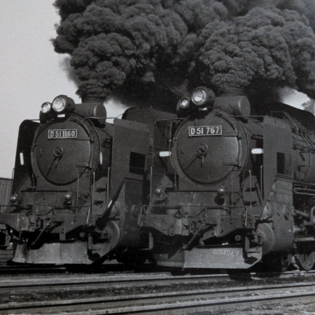 レア汽車？D511160D51767ツーショット白黒