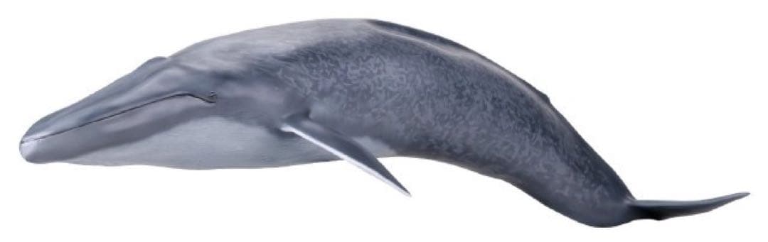 【メガソフビアドバンス】 シロナガスクジラ　海洋堂　松村しのぶ　完成品　未開封品