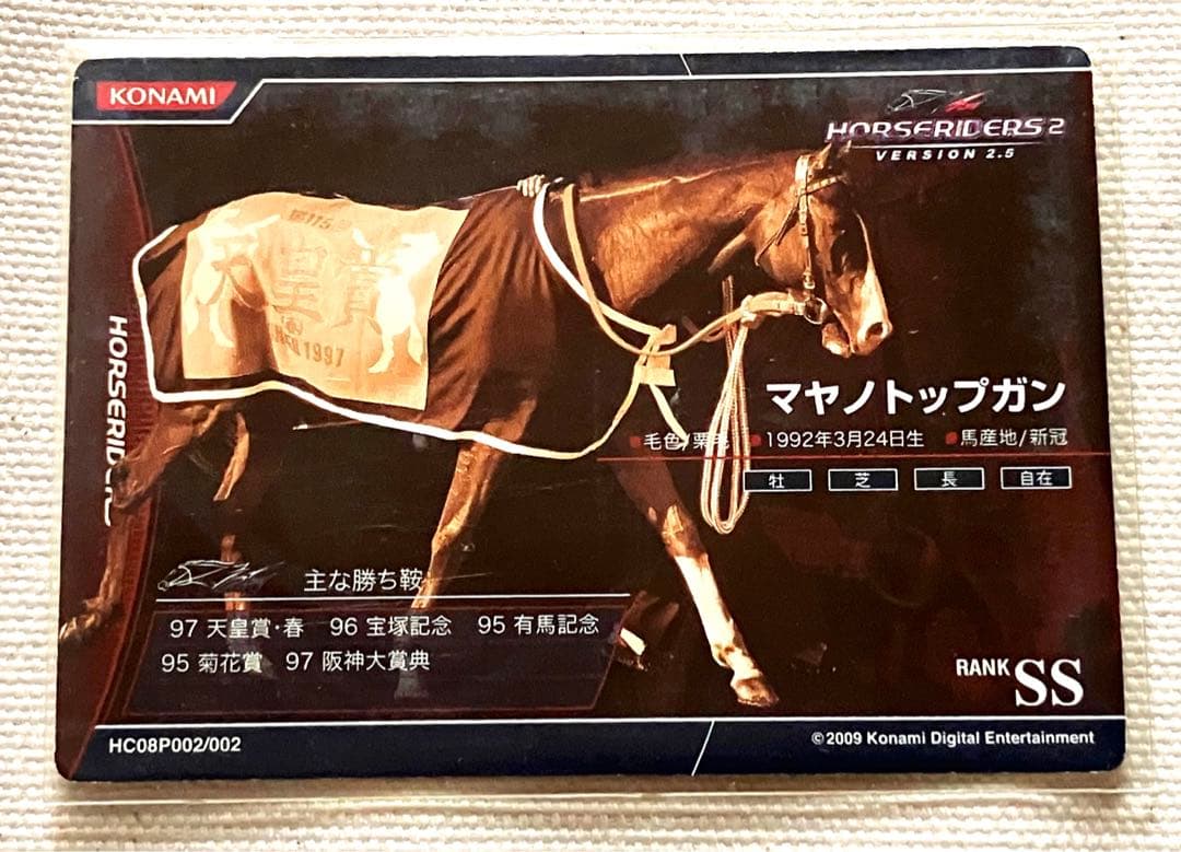 ホースライダーズ　マヤノトップガン