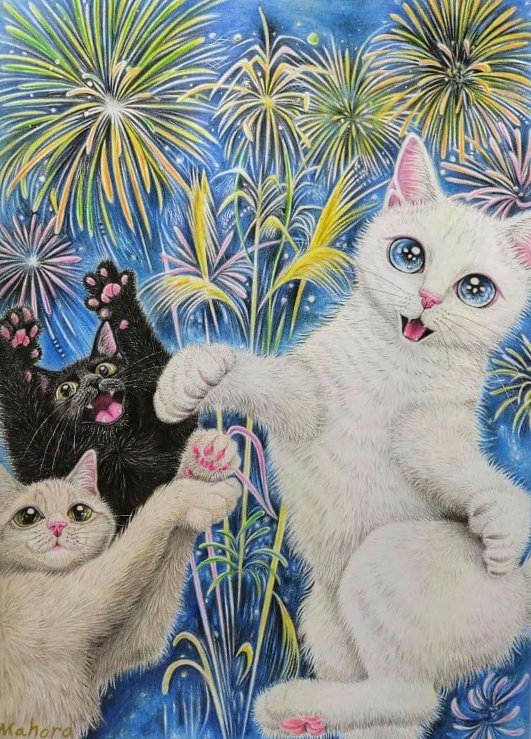 「 花火じゃらし 」B5大きめ 花火 盆おどり 猫イラスト 色鉛筆画