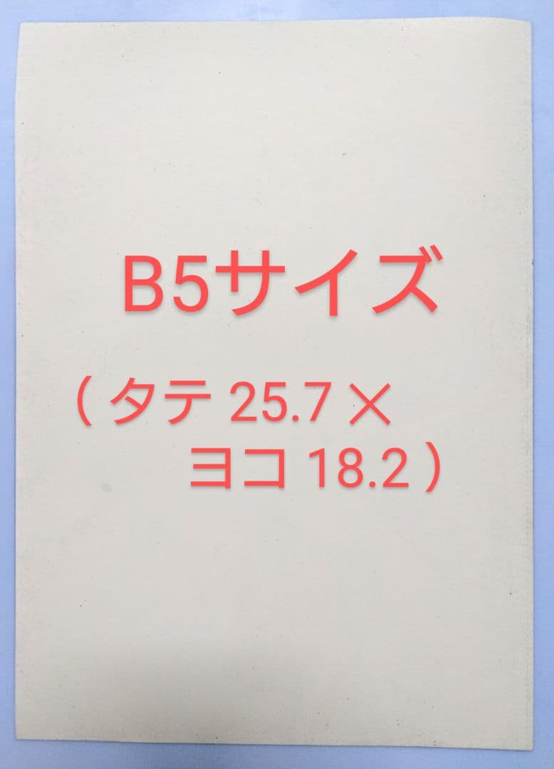「 花火じゃらし 」B5大きめ 花火 盆おどり 猫イラスト 色鉛筆画