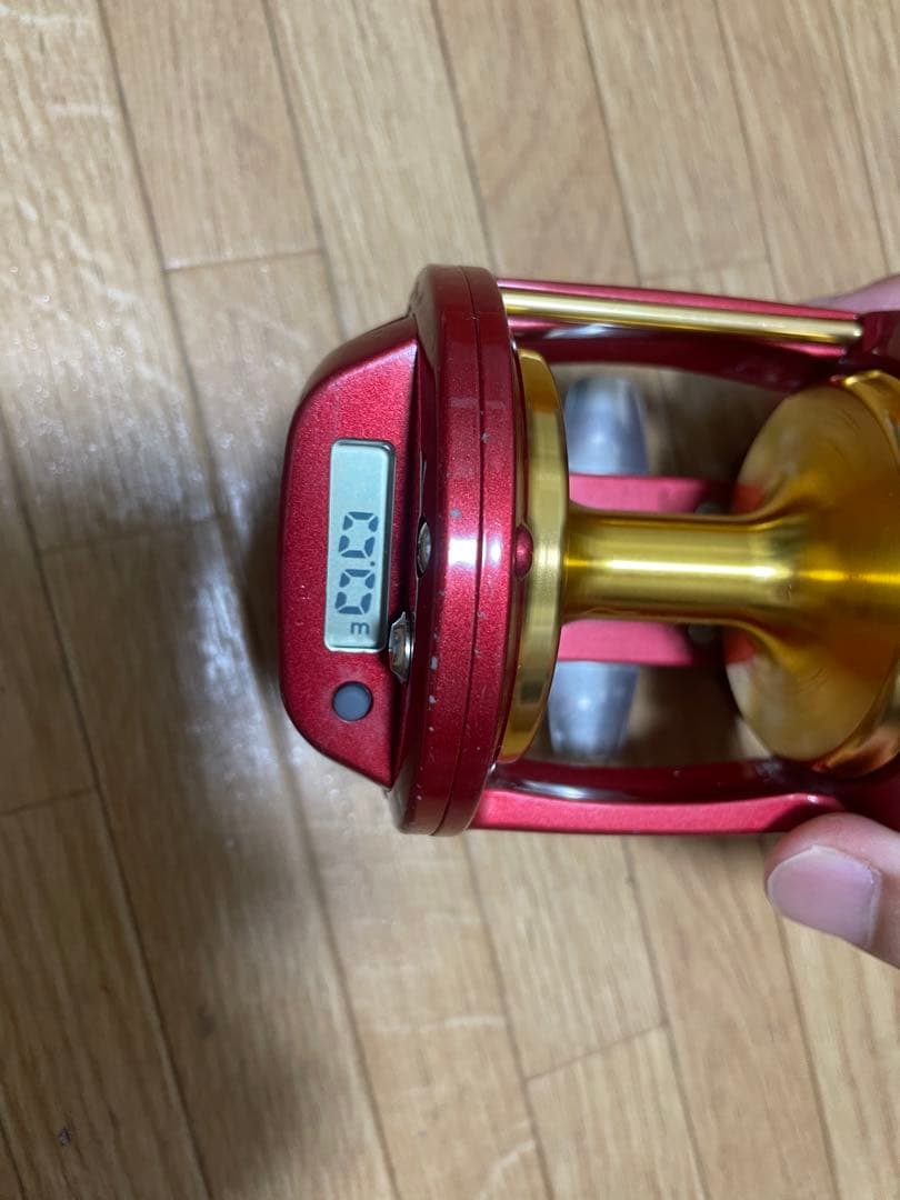 シーライン　遠投　石鯛　Daiwa