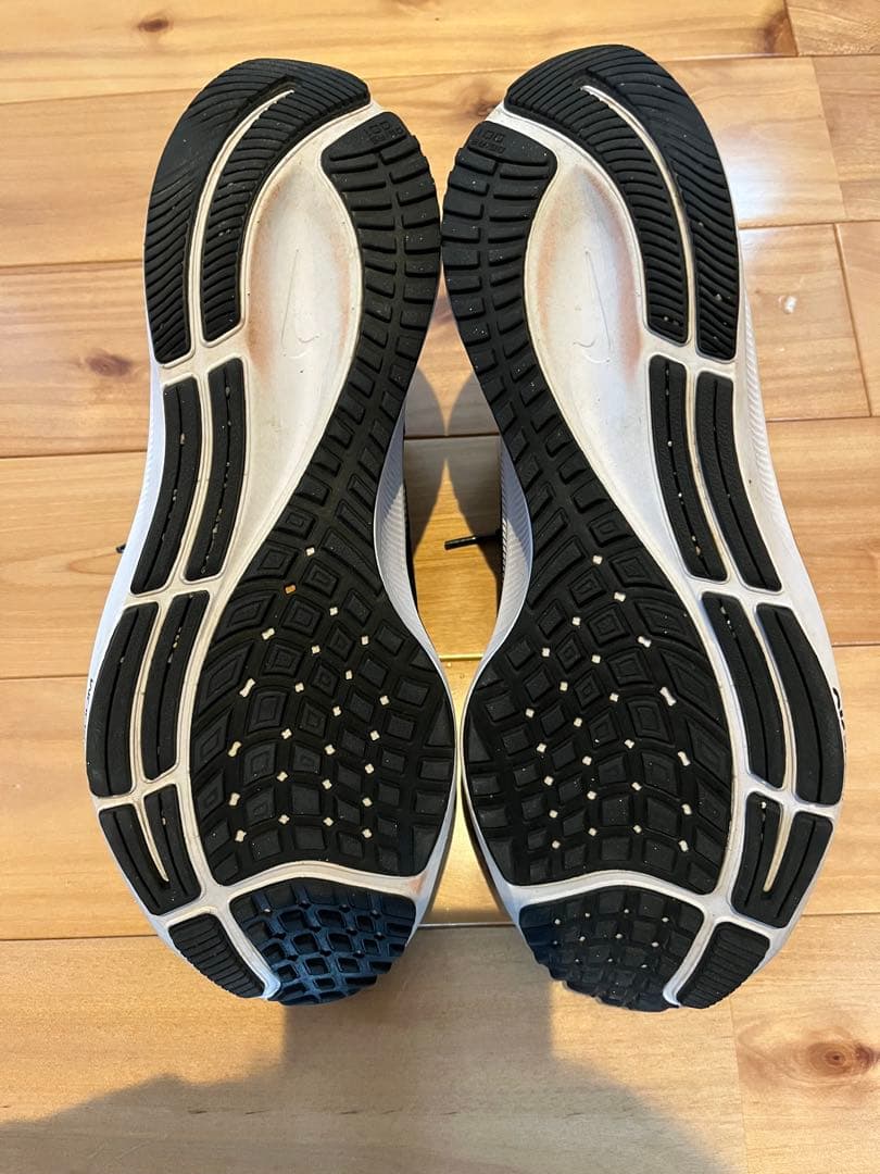 Nike ペガサス37 25cm