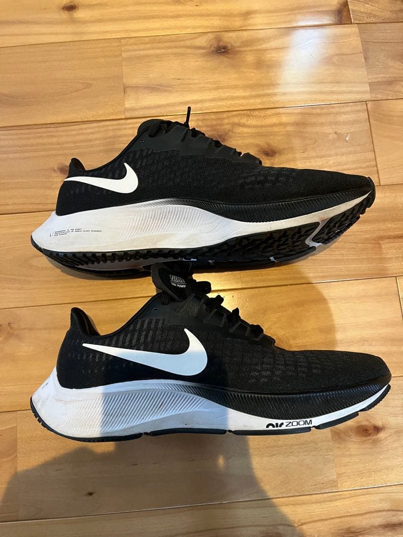 Nike ペガサス37 25cm