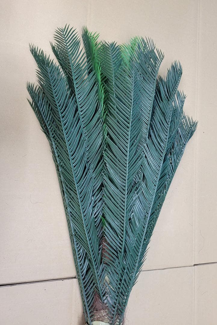 【造花・観葉】フェニックスパームツリー　130ｃｍ　JOA-227