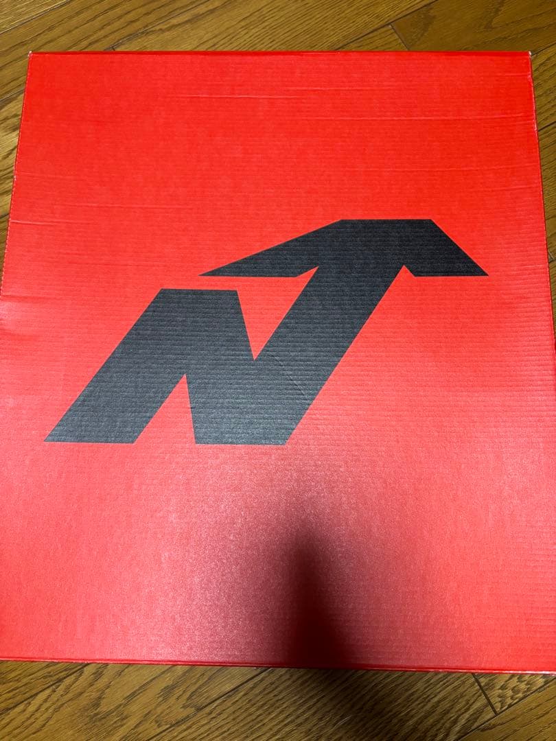 ノルディカ　スキーブーツ