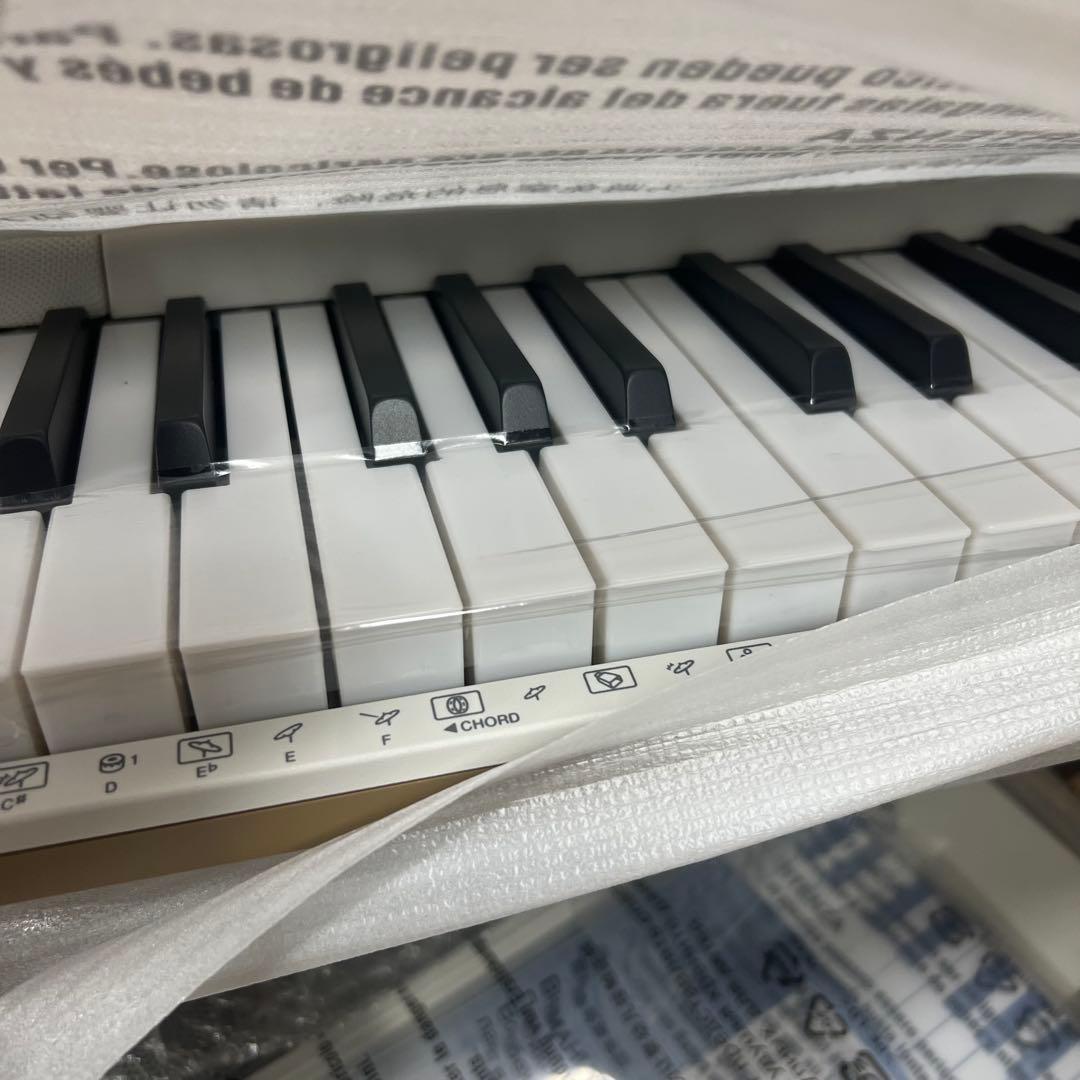 G4【未使用品】CASIO LK-526 DDV05 キーボード