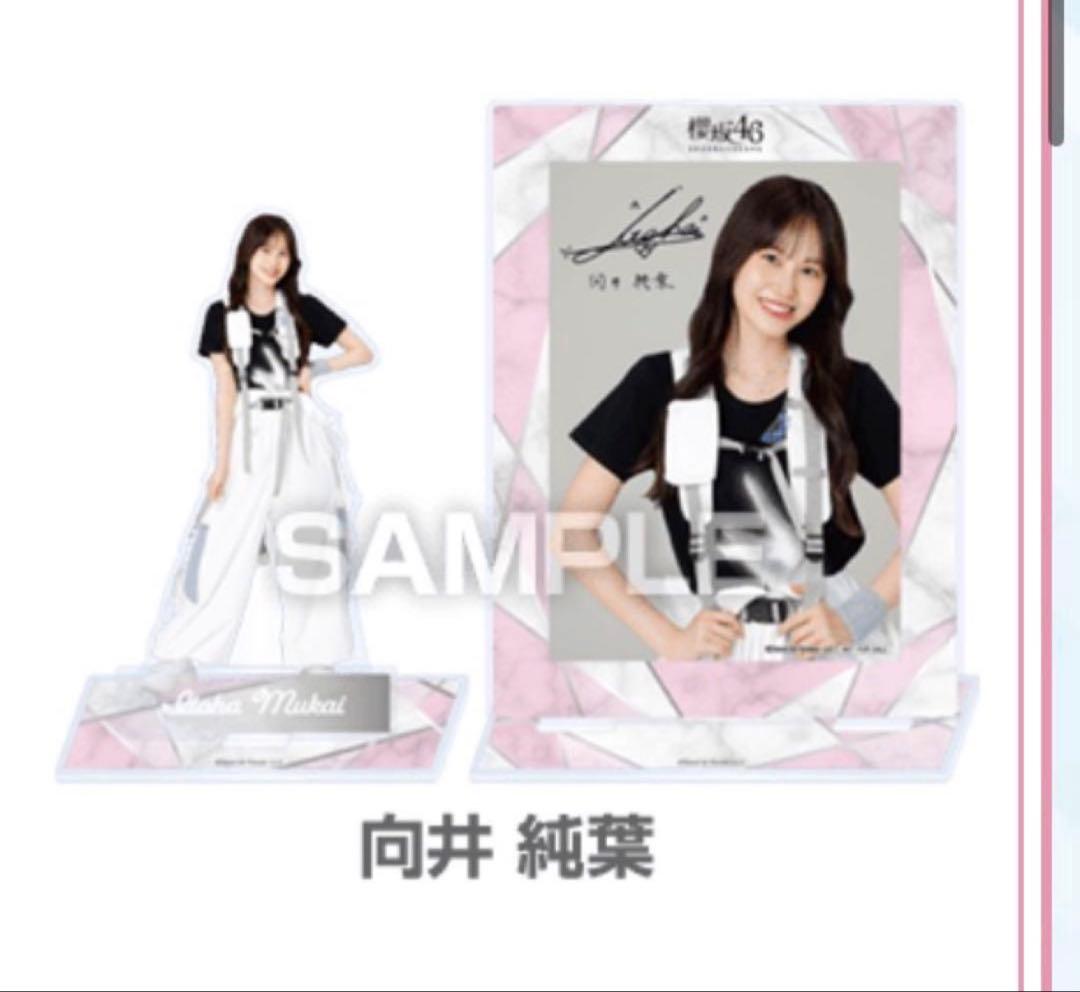 向井純葉　櫻坂46 アクスタ　ブロマイド　ローソン