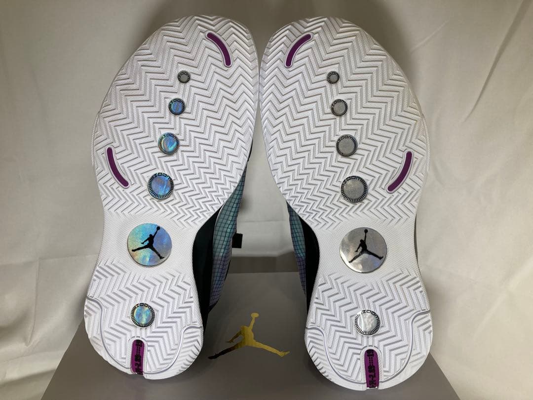 【プレ値美品】Nike Jordan34 ジョーダン28.5cm ナイキ 箱なし