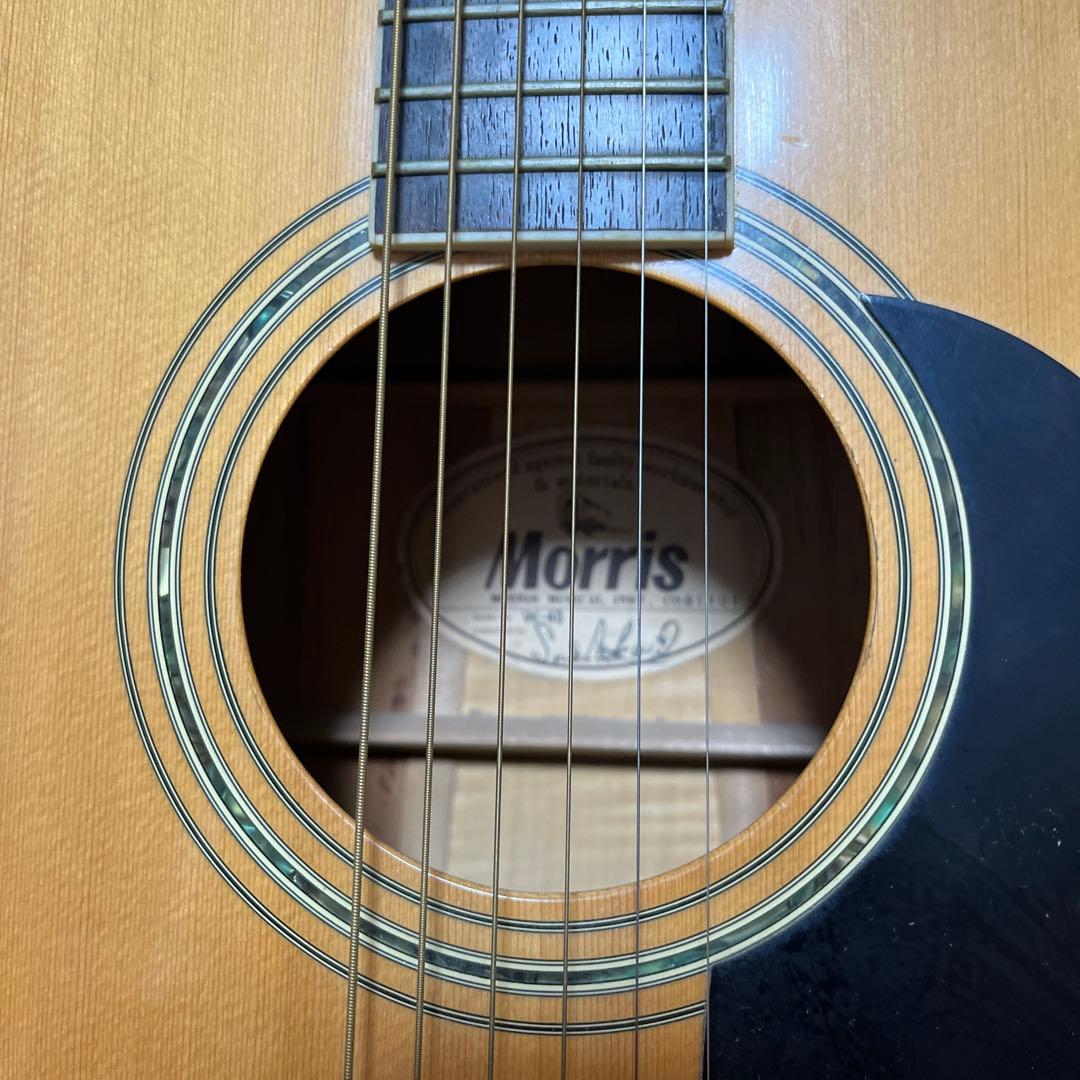 MORRIS アコースティックギターＷ-40