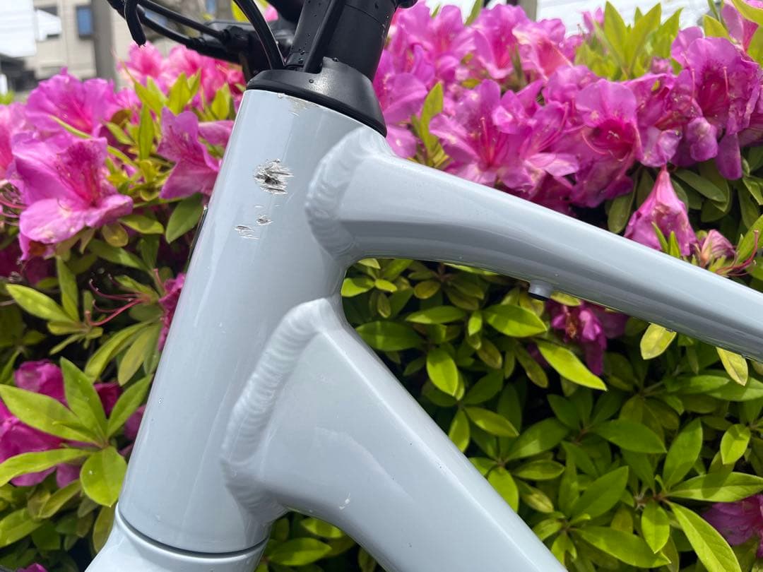 Trek FX2 Gen4 2025年モデル クロスバイク 白色 アルミ