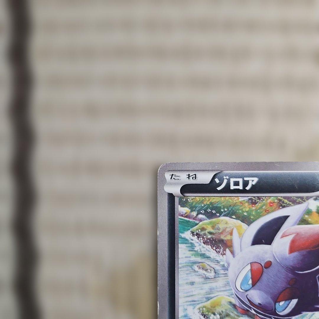 ポケモンカードゲーム ゾロア プロモ 021/BW-P