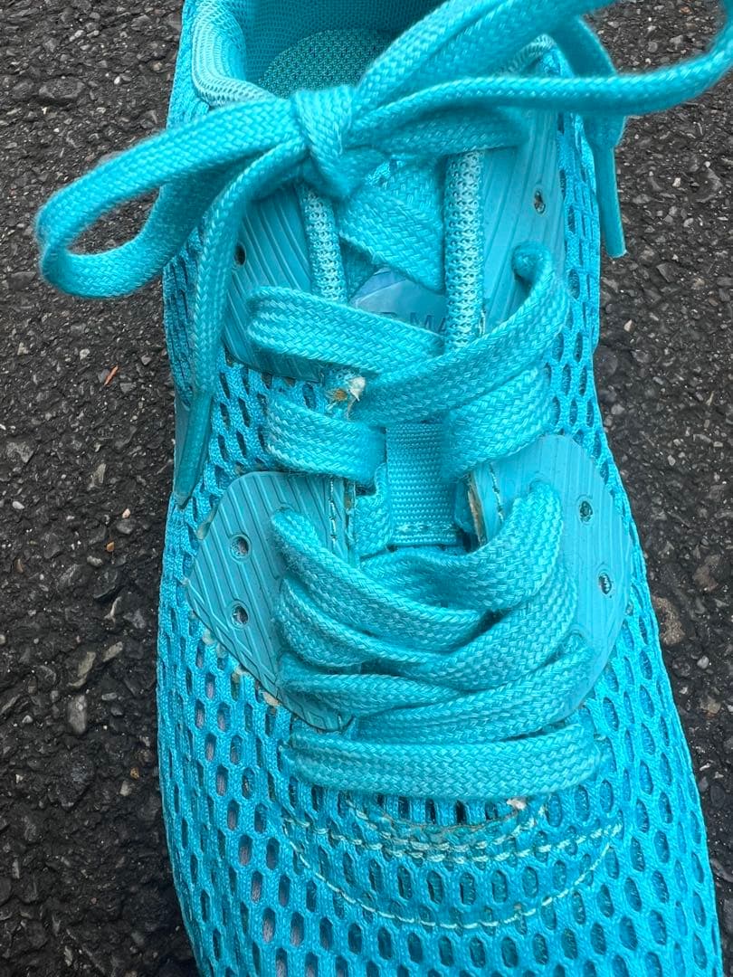Nike エアマックス スニーカー ライトブルー