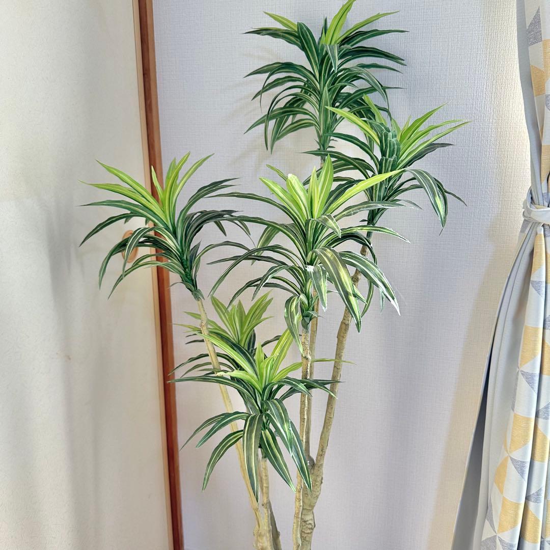 【週末限定値下げ‼︎】【美品】ニトリ　フェイクグリーン　ドラセナ