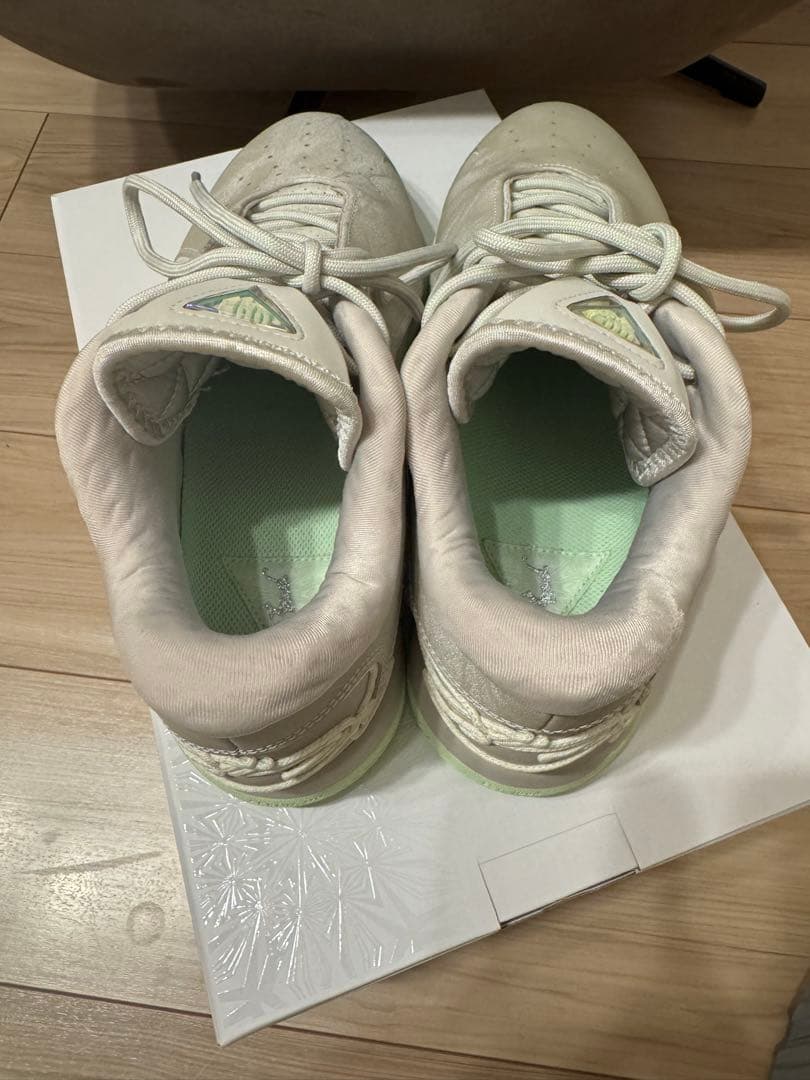 【極美品・着用10分のみ】NIKE レブロン22 28.0cm 箱付き