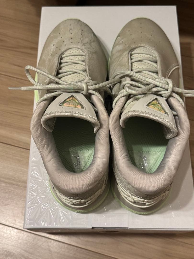 【極美品・着用10分のみ】NIKE レブロン22 28.0cm 箱付き